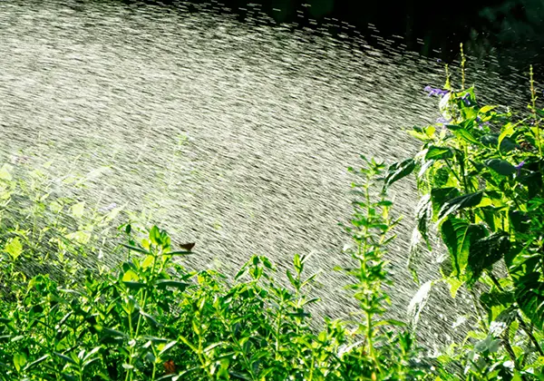植物の成長にムラが出て困っている方に