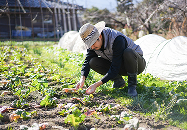 近隣農地への飛散や被害拡大を防ぎたい方のイメージ
