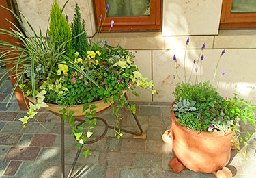 小規模クリニックのイメージ