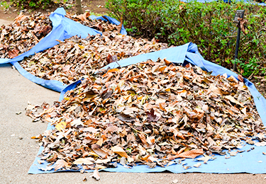 作業のイメージ