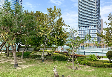 商業施設(複合型モール)のイメージ