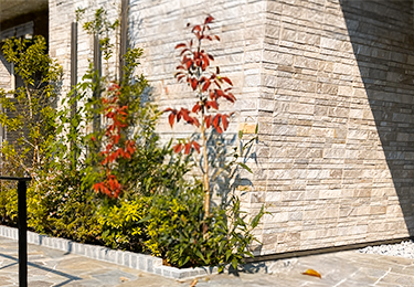 美容サロン(店前・植栽まわり)のイメージ