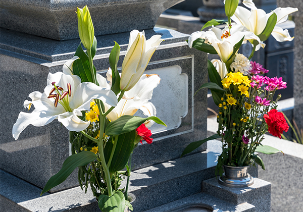 年4回の定期契約を希望する方のイメージ