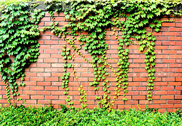 景観や印象を重視したい店舗や施設のイメージ