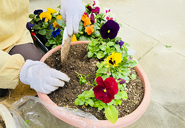 植物の元気がなくなってきたと感じる方のイメージ