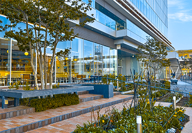 植栽や建物と調和したデザインを求める方のイメージ