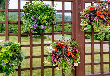 自然素材や木目調で温かみのある印象を与えたい施設のイメージ