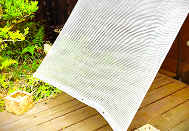 強い日差しをカットして室内の温度上昇を抑えたい店舗のイメージ