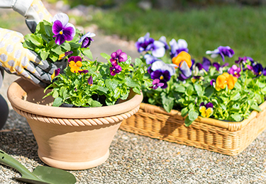 作業のイメージ