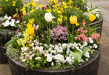 ロビーやエントランスの印象を大切にしたい施設のイメージ