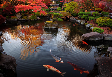 落ち葉やヘドロの掃除が大変と感じる方のイメージ