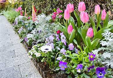 美観を保ちつつ手間を省きたい管理者のイメージ