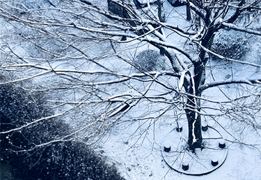 医療・福祉施設(玄関周り・中庭)のイメージ