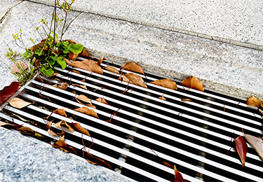 年間スケジュールで落ち葉対策を組み込みたい法人様のイメージ