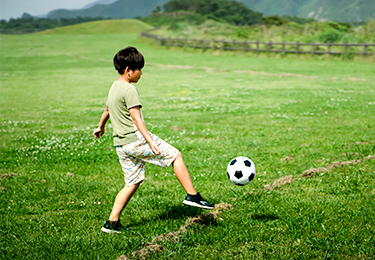 人工芝と天然芝を併用している現場のイメージ