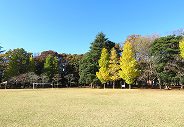 清掃スタッフだけでは対応しきれない広大な敷地をお持ちの法人様のイメージ