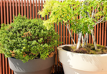 共用部やバルコニーに鉢植えがあるマンション管理者のイメージ