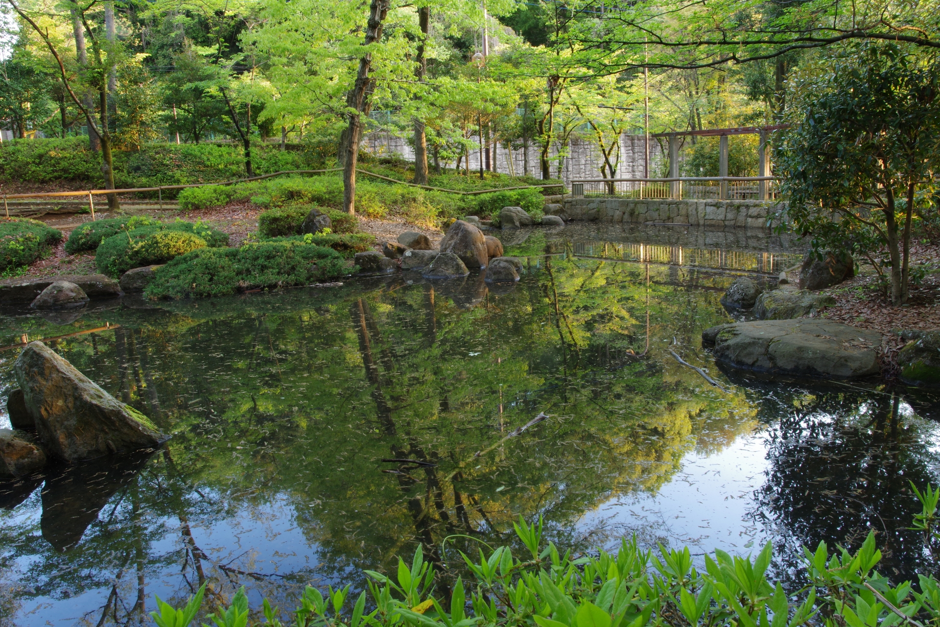 公共公園の大池(埼玉県)※一部エリアのみ清掃のイメージ