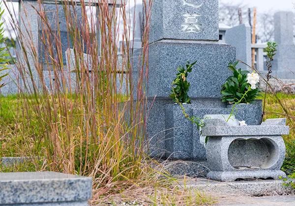 雑草や汚れが気になるけれど、高齢で清掃が難しい方のイメージ