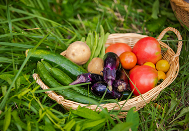 有機栽培や減農薬に取り組んでいる生産者のイメージ