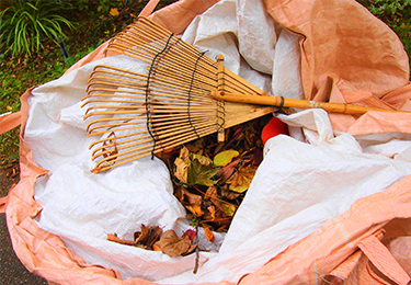 敷地内に落ち葉が大量に積もりお困りの施設様のイメージ