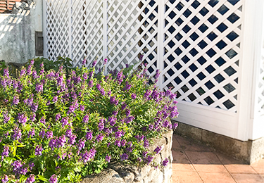 空調室外機や配管の目隠しとして使いたい方のイメージ