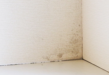 壁のカビや黒ずみが気になるイメージ