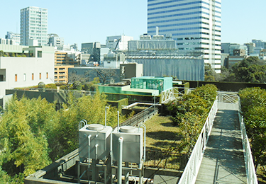 企業のオフィスビル外構緑地のイメージ