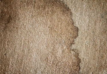 来客時の第一印象を良くしたい企業のイメージ