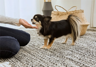 アレルギー対策をしたい家庭のイメージ