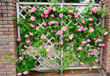 通行人の目線が気になるカフェや店舗のイメージ