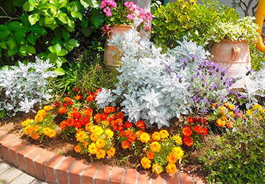 施設やオフィスの第一印象を良くしたい方のイメージ