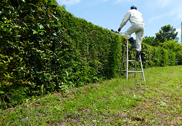 高所の剪定や脚立作業が不安な現場のイメージ