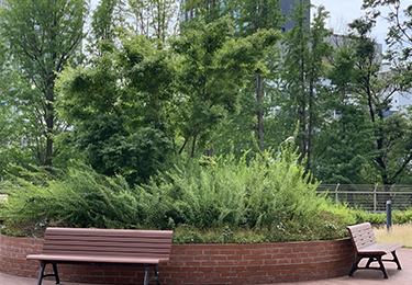 商業施設(高所の生垣・季節成型)のイメージ