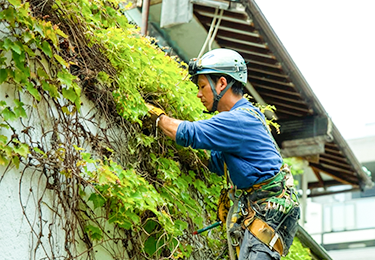作業のイメージ