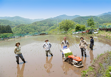 季節ごとの発生リスクに備えたい農業法人のイメージ
